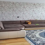 Kirayə (aylıq) 2 otaqlı Köhnə Tikili, Xalqlar dostluğu metrosu, Nizami rayonu 12