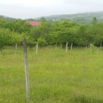 Продажа Участок Исмаиллы 4