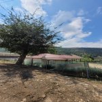 Kirayə (günlük) 3 otaqlı Bağ evi Lerik 5