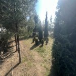 Satılır Torpaq Qusar 11
