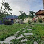 Kirayə (günlük) 3 otaqlı Həyət evi/villa Qəbələ 2