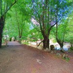Kirayə (günlük) 3 otaqlı Həyət evi/villa Lerik 14