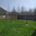 Satılır Torpaq Qəbələ 3