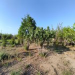 Satılır Torpaq, Maştağa qəs., Sabunçu rayonu 4