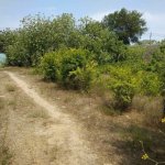 Satılır Torpaq, Bilgəh qəs., Sabunçu rayonu 3