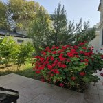 Kirayə (aylıq) 5 otaqlı Bağ evi, Zaqulba, Xəzər rayonu 32