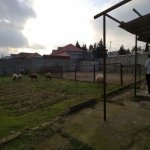 Satılır Torpaq, Şüvəlan, Xəzər rayonu 1