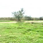 Satılır Obyekt Xaçmaz 10