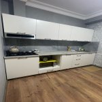 Kirayə (aylıq) 3 otaqlı Yeni Tikili, Gənclik metrosu, Nəsimi rayonu 6