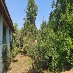Satılır 6 otaqlı Həyət evi/villa Lənkəran 15