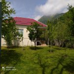 Kirayə (günlük) 4 otaqlı Həyət evi/villa Qəbələ 1