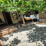 Satılır 2 otaqlı Həyət evi/villa Xırdalan 10