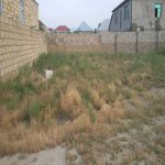 Продажа Участок, пос. Курдаханы, Сабунчу район 2