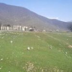 Satılır Torpaq İsmayıllı 3