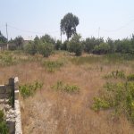 Satılır 2 otaqlı Bağ evi, Saray, Abşeron rayonu 6