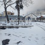 Kirayə (aylıq) Obyekt Şəki 3