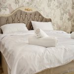 Kirayə (günlük) 4 otaqlı Həyət evi/villa Qəbələ 18