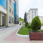 Kirayə (aylıq) 4 otaqlı Yeni Tikili, Nəsimi rayonu 17