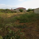 Продажа Участок Губа 4