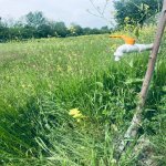 Продажа Участок Гябяля 10