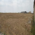 Satılır Torpaq, Saray, Abşeron rayonu 6