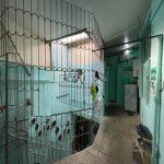 Kirayə (aylıq) Obyekt, İçərişəhər metrosu, Səbail rayonu 15