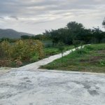 Kirayə (günlük) 4 otaqlı Həyət evi/villa İsmayıllı 37