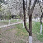 Продажа 8 комнат Дача, Новханы, Абшерон район 39