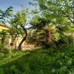 Kirayə (günlük) 4 otaqlı Həyət evi/villa İsmayıllı 1