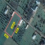 Satılır Torpaq Qəbələ 6