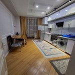 Kirayə (aylıq) 2 otaqlı Yeni Tikili, Nəriman Nərimanov metrosu, Heydər Əliyev Mərkəzi, Nərimanov rayonu 5