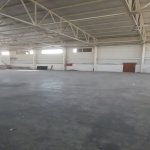 Kirayə (aylıq) Obyekt, Binə qəs., Xəzər rayonu 3