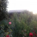 Satılır 4 otaqlı Həyət evi/villa, Ramana qəs., Sabunçu rayonu 21