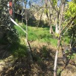 Satılır 5 otaqlı Həyət evi/villa, Zığ qəs., Suraxanı rayonu 3