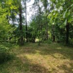 Продажа Участок Гябяля 4