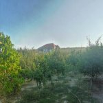Satılır Torpaq, Novxanı, Abşeron rayonu 3