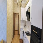 Kirayə (aylıq) 2 otaqlı Yeni Tikili, 28 May metrosu, Nəsimi rayonu 7