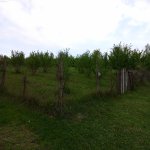 Продажа Участок Гусар 4