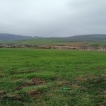 Satılır Torpaq Lerik 6