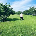 Продажа Участок Гябяля 16