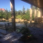 Kirayə (aylıq) 5 otaqlı Bağ evi, Fatmayi, Abşeron rayonu 21