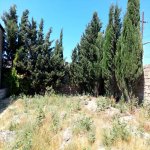 Satılır Torpaq, Buzovna, Xəzər rayonu 3