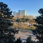 Продажа 3 комнат Вторичка, м. 28 Мая метро, Насими район 14