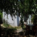 Kirayə (aylıq) 3 otaqlı Bağ evi, Koroğlu metrosu, Pirşağı qəs., Sabunçu rayonu 15