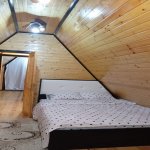 Kirayə (günlük) 3 otaqlı Bağ evi Qusar 10