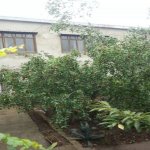 Satılır 8 otaqlı Həyət evi/villa, Binəqədi qəs., Binəqədi rayonu 3