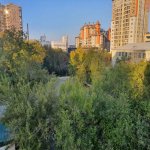 Kirayə (günlük) 3 otaqlı Yeni Tikili, 28 May metrosu, Papanin, Nəsimi rayonu 16