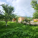 Kirayə (günlük) 3 otaqlı Bağ evi Qəbələ 19