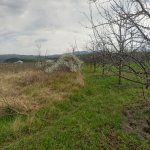 Satılır Torpaq Quba 8