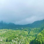 Satılır 5 otaqlı Həyət evi/villa Quba 9